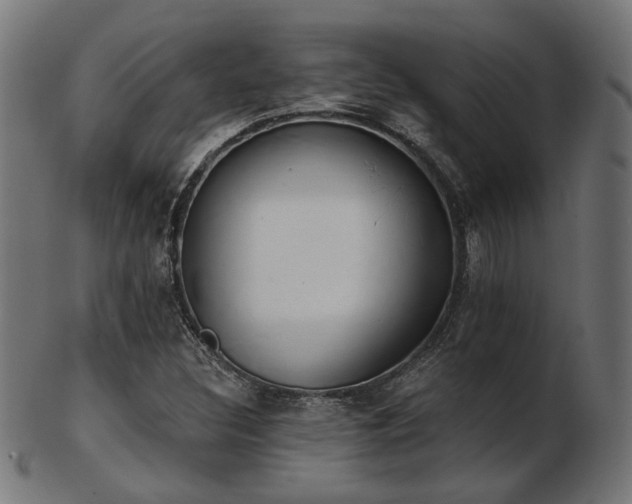 X0000103471308200809121619