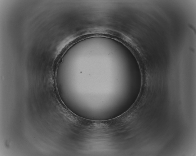 X0000103471312200809121619