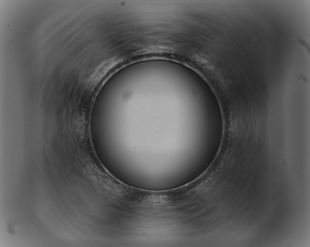 X0000103471313200809121619