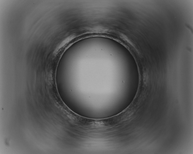 X0000103471315200809121619