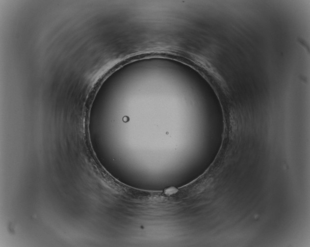 X0000103471316200809121619