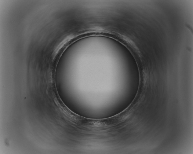 X0000103471318200809121619