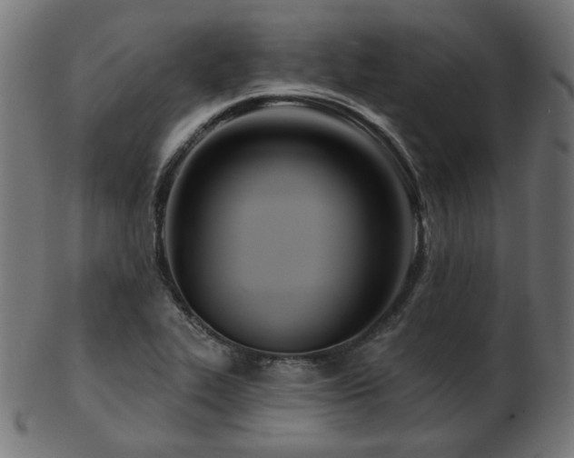 X0000103471319200809121619