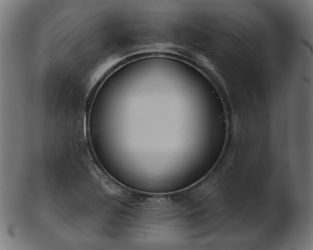 X0000103471320200809121619