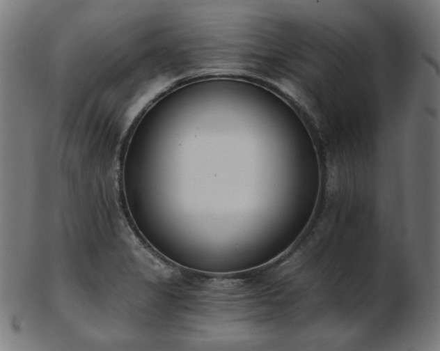 X0000103471325200809121619