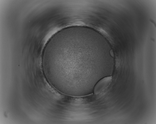 X0000103471326200809121619