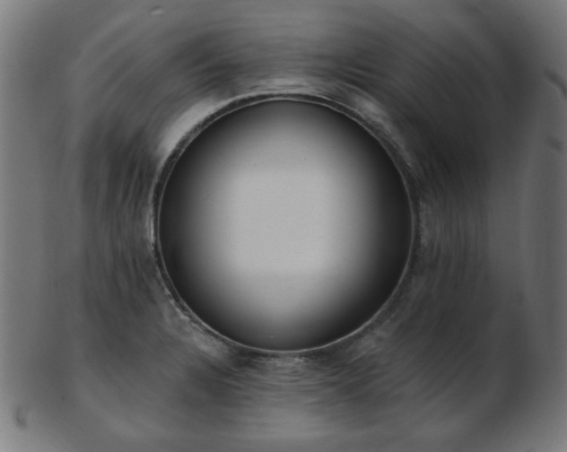 X0000103471328200809121619