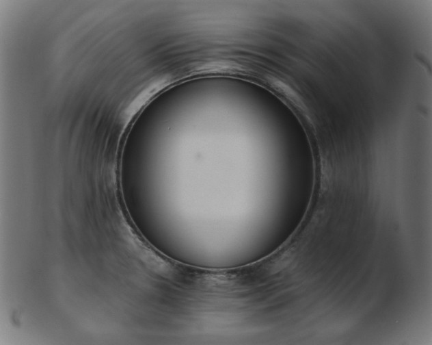 X0000103471330200809121619