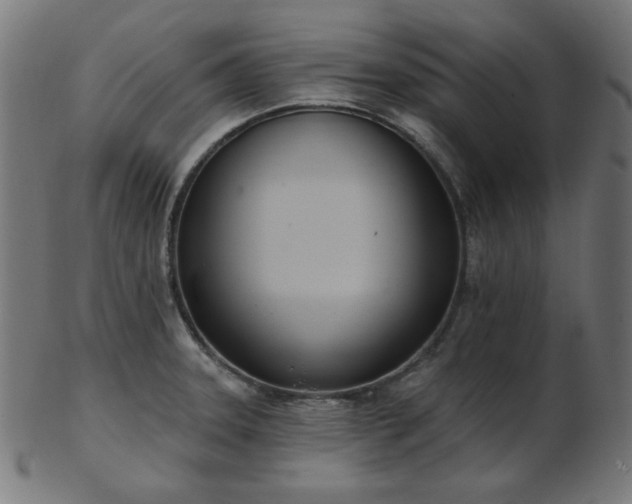 X0000103471331200809121619