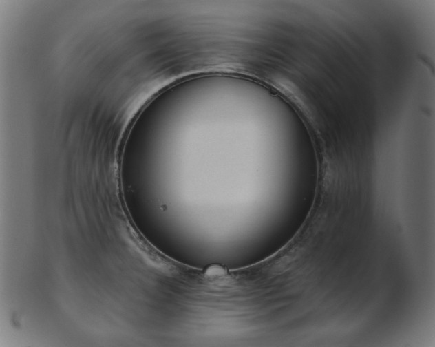 X0000103471332200809121619