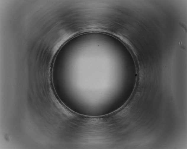 X0000103471333200809121619