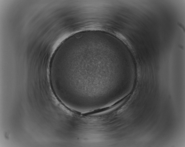 X0000103471334200809121619