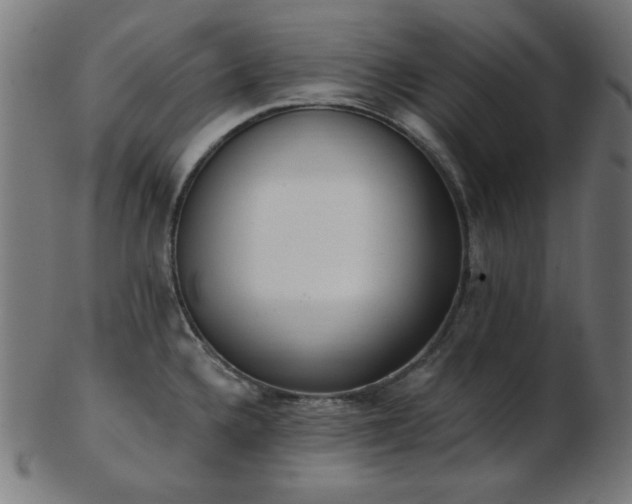 X0000103471336200809121619