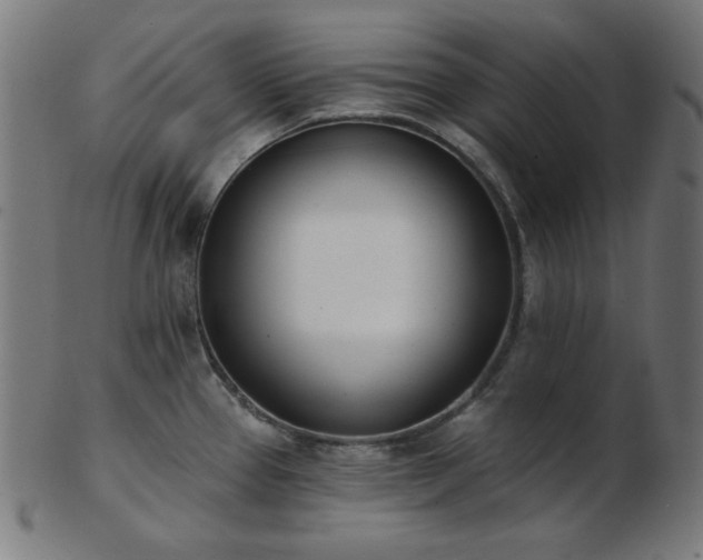 X0000103471337200809121619