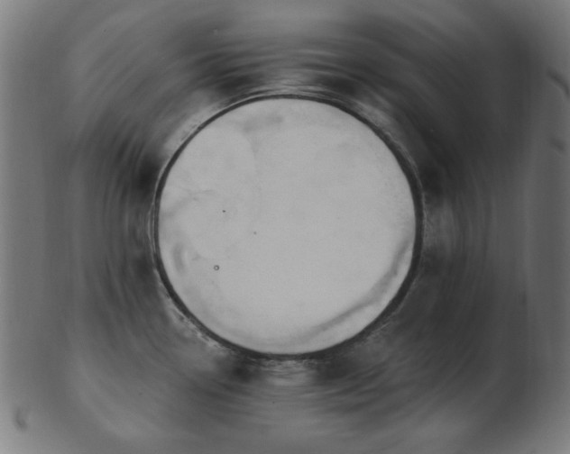 X0000103471338200809121620