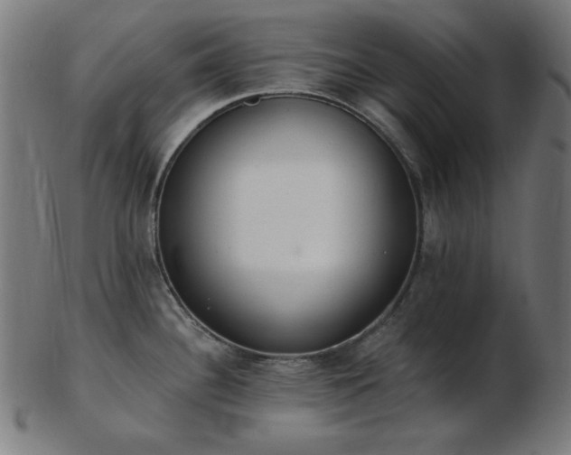 X0000103471340200809121620