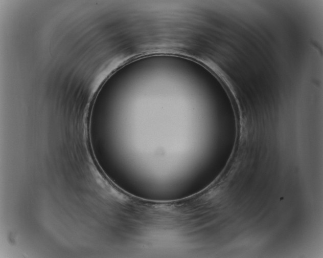 X0000103471341200809121620