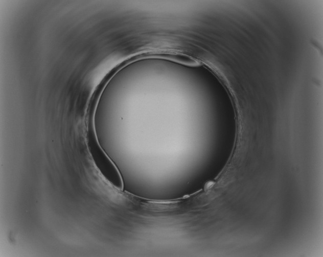 X0000103471344200809121620