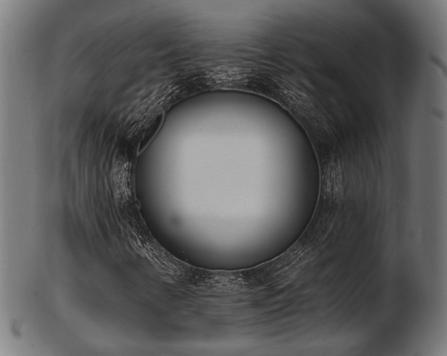 X0000103471346200809121619