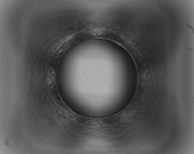 X0000103471349200809121619