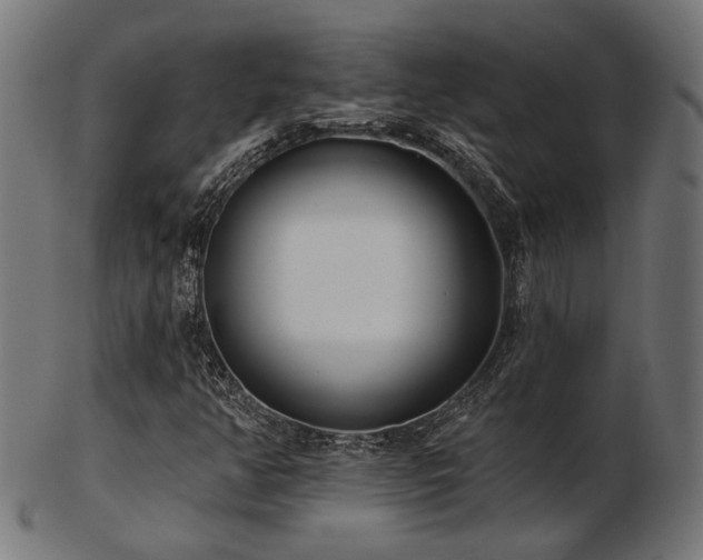 X0000103471350200809121619