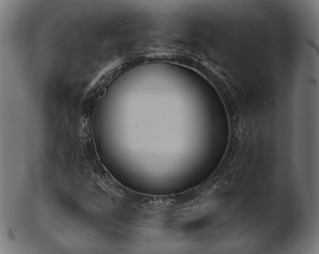 X0000103471351200809121619