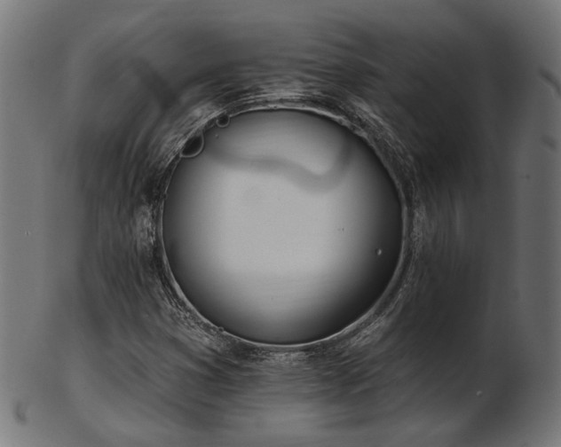 X0000103471353200809121619