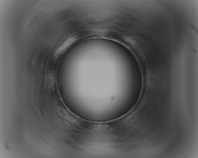 X0000103471354200809121619