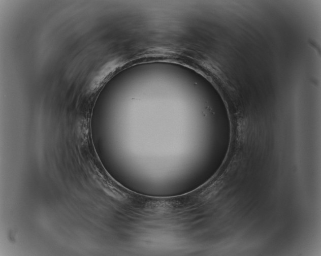 X0000103471355200809121619