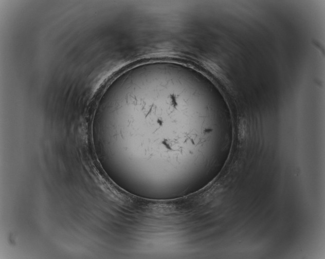 X0000103471356200809121619