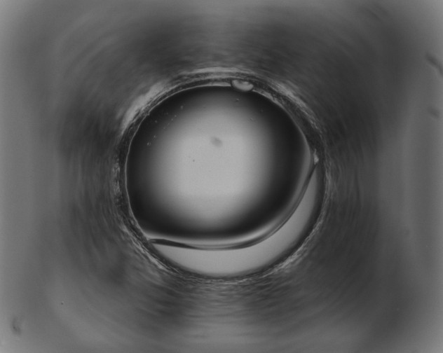 X0000103471357200809121619