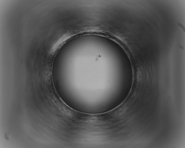 X0000103471359200809121619