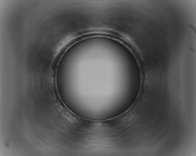 X0000103471360200809121619