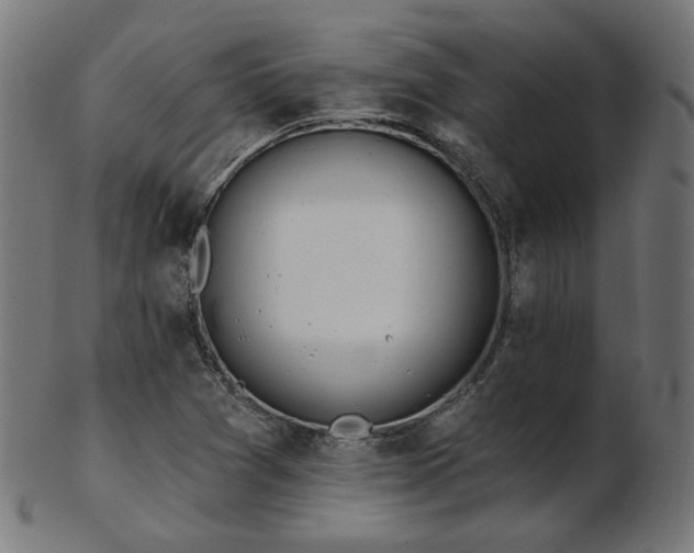 X0000103471361200809121619