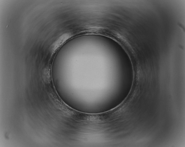 X0000103471362200809121619