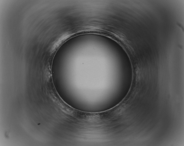 X0000103471363200809121619