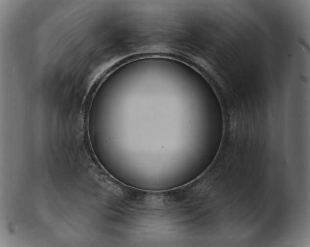 X0000103471364200809121619