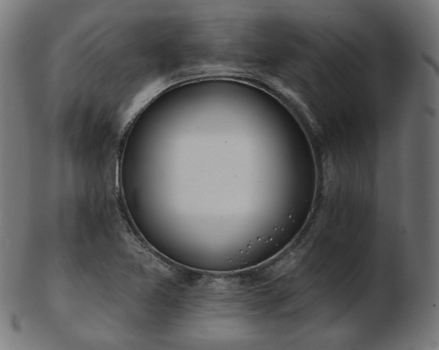 X0000103471365200809121619