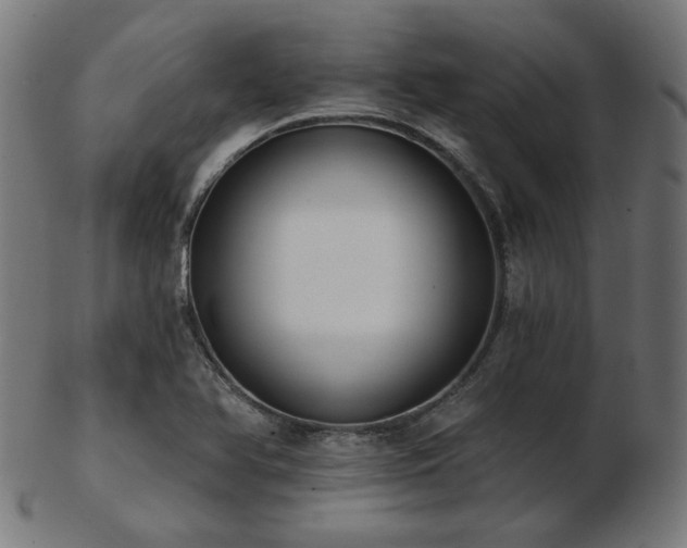 X0000103471366200809121619