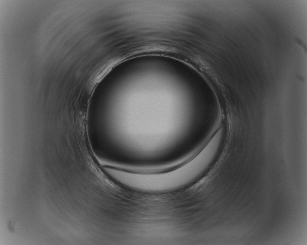 X0000103471369200809121619