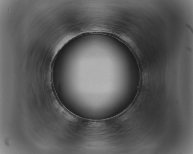 X0000103471374200809121619