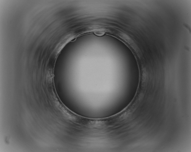 X0000103471377200809121618