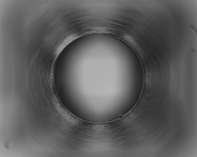 X0000103471378200809121618