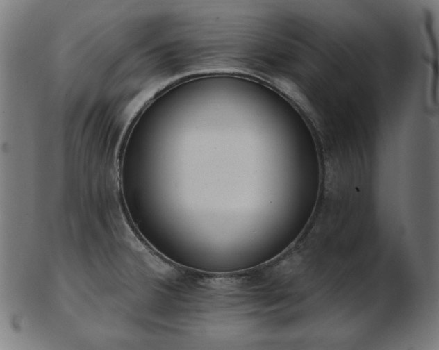 X0000103471380200809121618