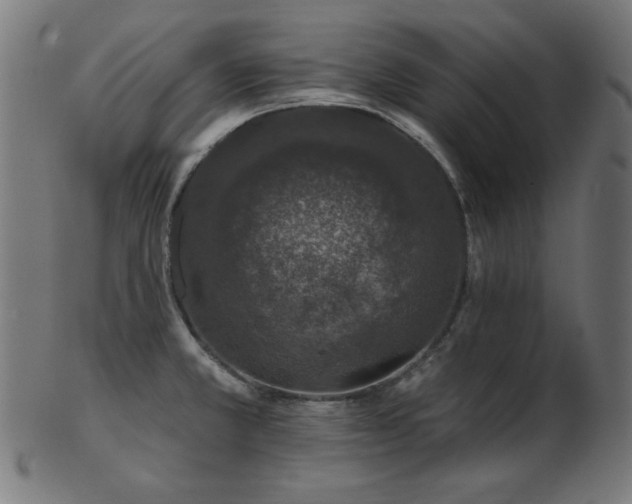 X0000103471381200809121618