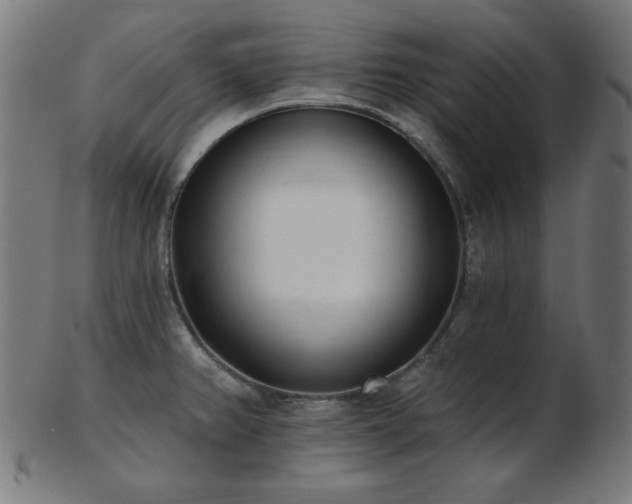 X0000103471382200809121618