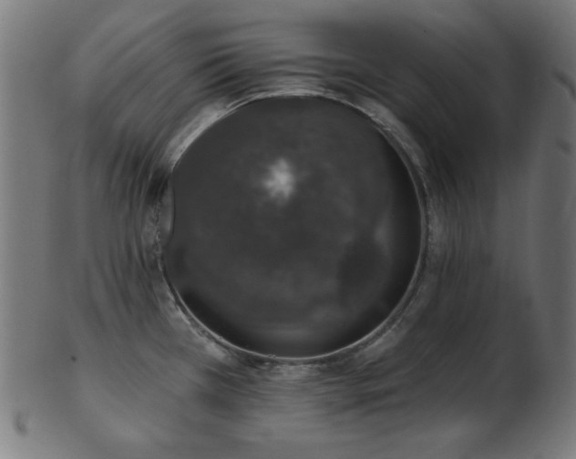 X0000103471385200809121618