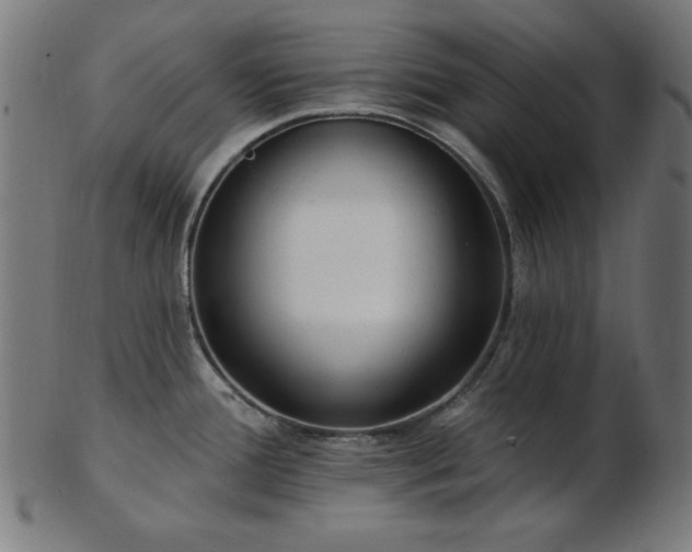 X0000103471388200809121618