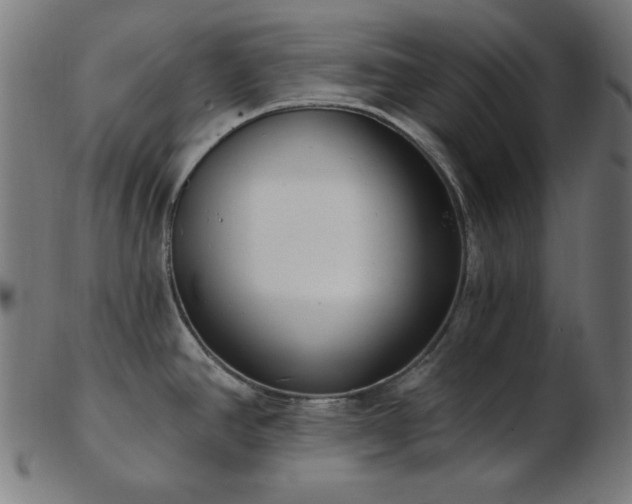 X0000103471390200809121618