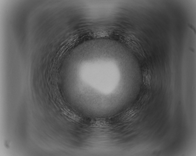 X0000103471393200809121618